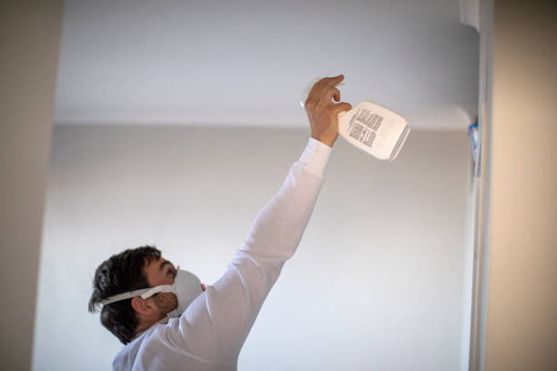 Best Mold Testing and Inspection Services in Medford, WI