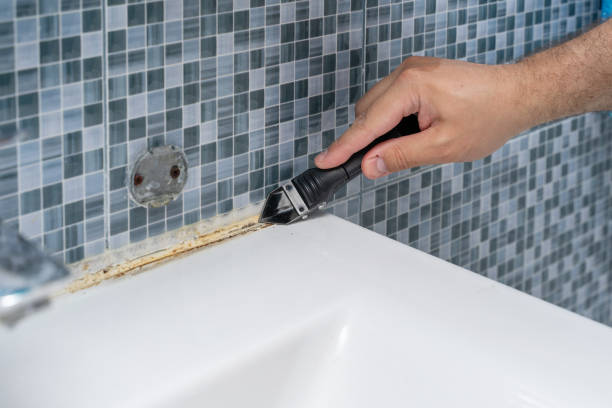 Best Industrial Mold Remediation in Medford, WI